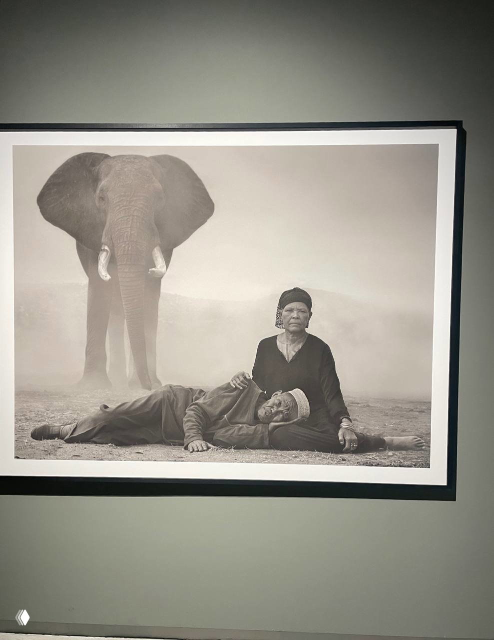 Galleria d’Italia — Nick Brandt и Diana Markosian