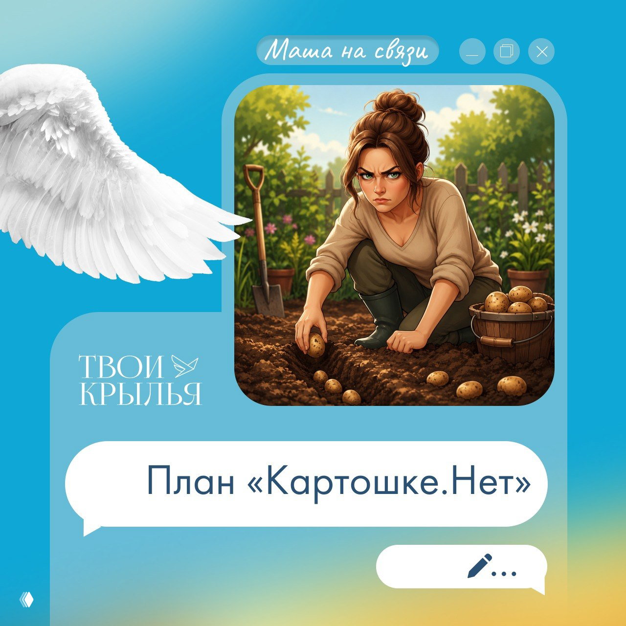 План «Картошке.Нет»