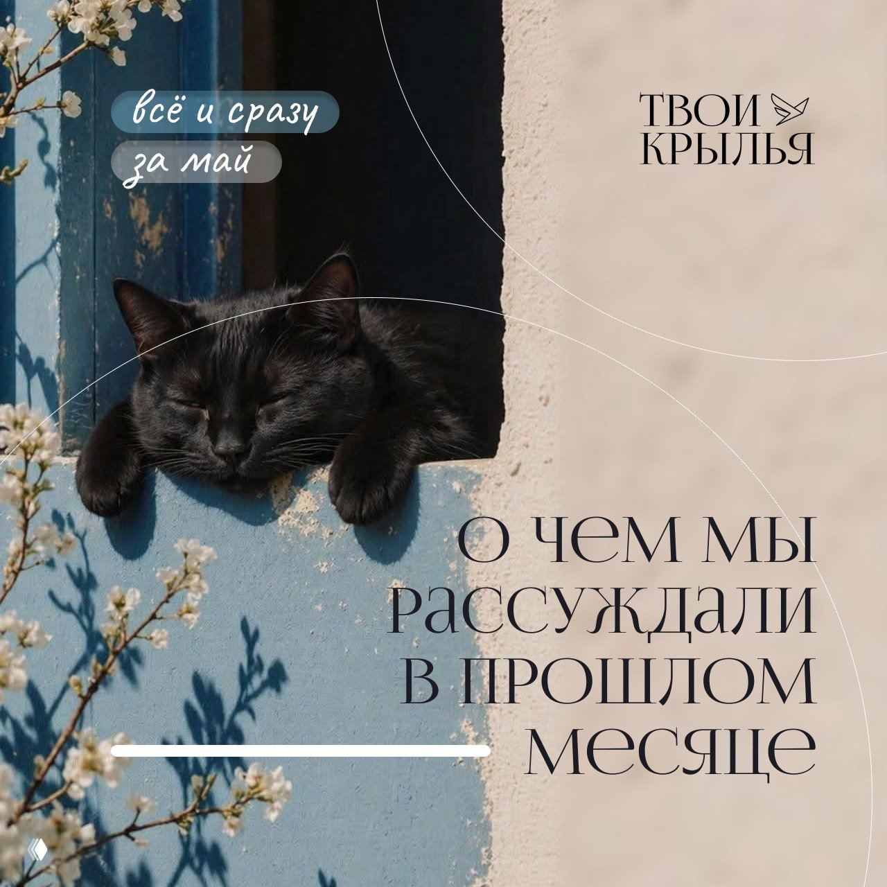 Дайджест: темы мая