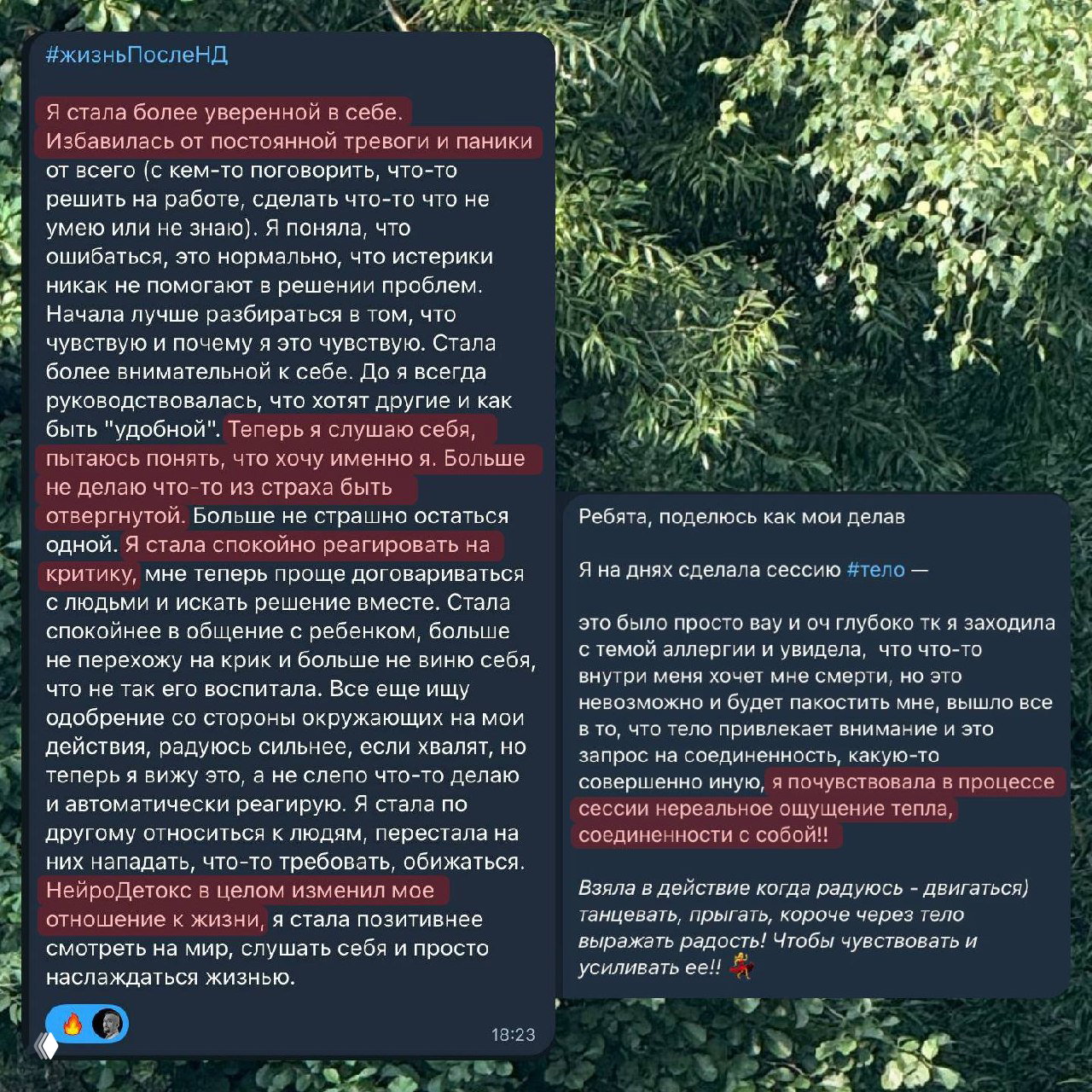 Несколько фрагментов сообщений и мем с подписью о работе с прошлыми травмами — визуал демонстрирует эмоциональные результаты после нейроDetox.