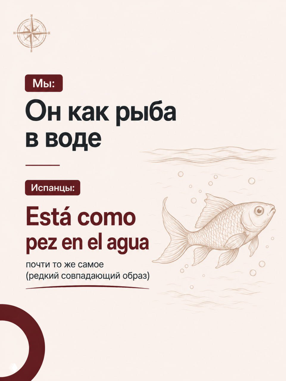 Иллюстрация рыбы в воде рядом с текстом «Está como pez en el agua» и подписью о совпадающем образе — пример похожей идиомы в русском и испанском.