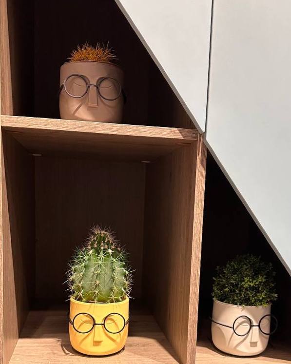 Небольшие кактусы в керамических горшках с изображением очков на полке; уютный акцент в интерьере, элемент домашнего декора и небольшого юмора.