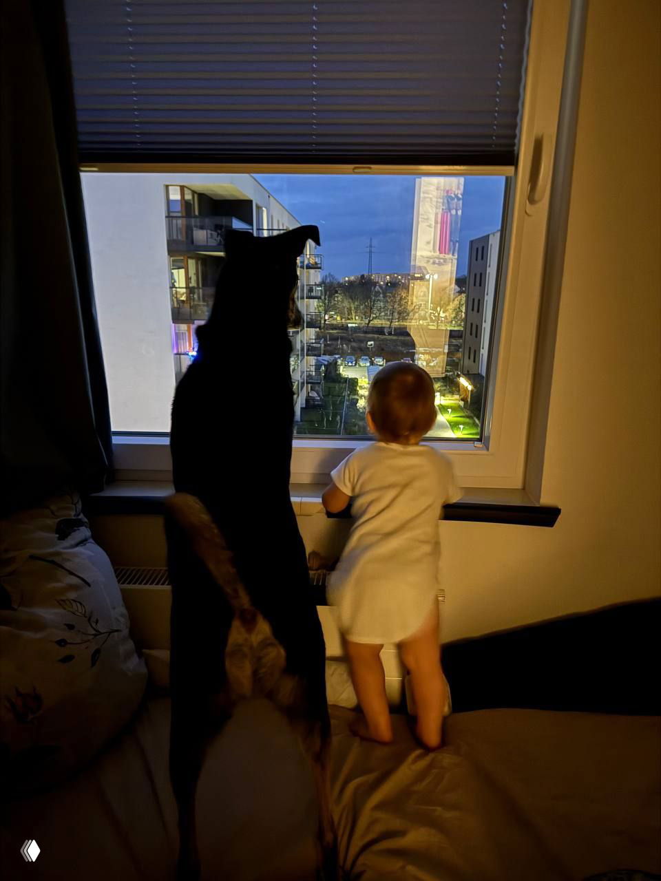 О вайбе и искренности в моменте