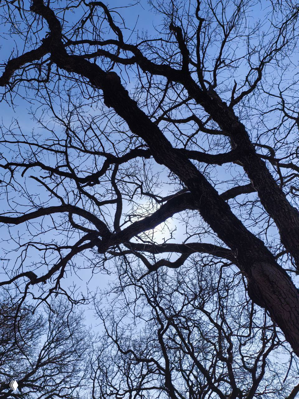 Про женский мозг и приближение Остары