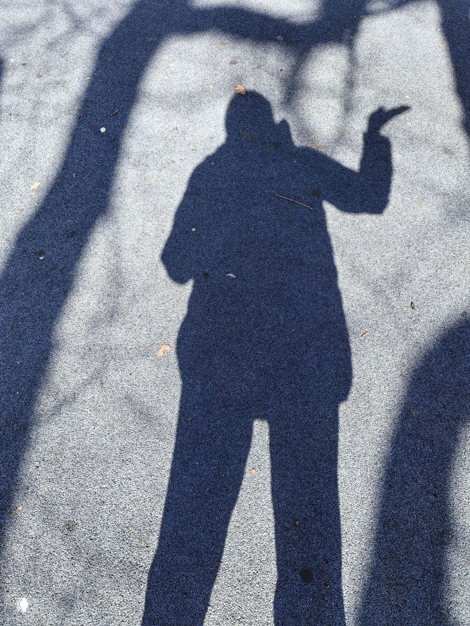 Вывести на чистую воду: Тень, насилие и ценность