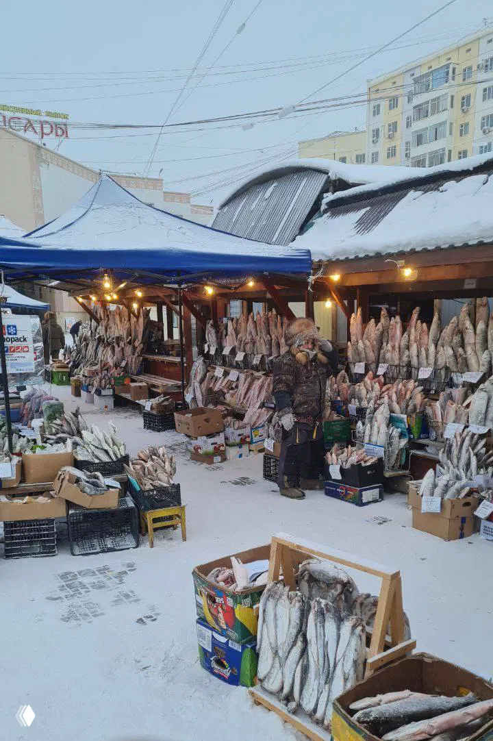 Открытый рыночный ряд с целыми рыбами и прилавками на снегу: множество замороженных рыб, ящики и продавец в тёплой одежде, атмосфера северного рынка.