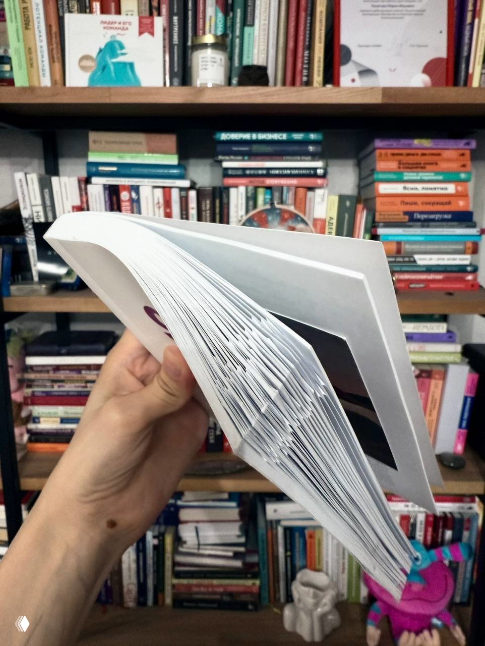 Книга раскрыта в руке автора поста, видны загнутые страницы и полная книжная полка на заднем плане, подтверждающая чтение.