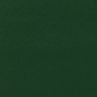 Темно-зелёный однотонный фон с лёгкой текстурой, превью-изображение как декоративная иллюстрация к посту о встрече Нового года.
