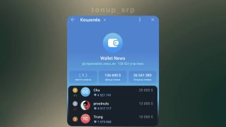 Скриншот интерфейса Wallet с таблицей лидеров бонусов и списком аккаунтов; видны суммы бонусов, обороты и элементы баланса в приложении.