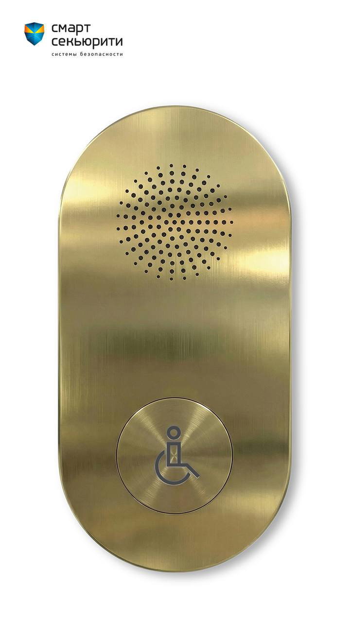 Овально-прямоугольный домофон в золотистом металле с перфорацией динамика сверху и кнопкой с пиктограммой доступа.