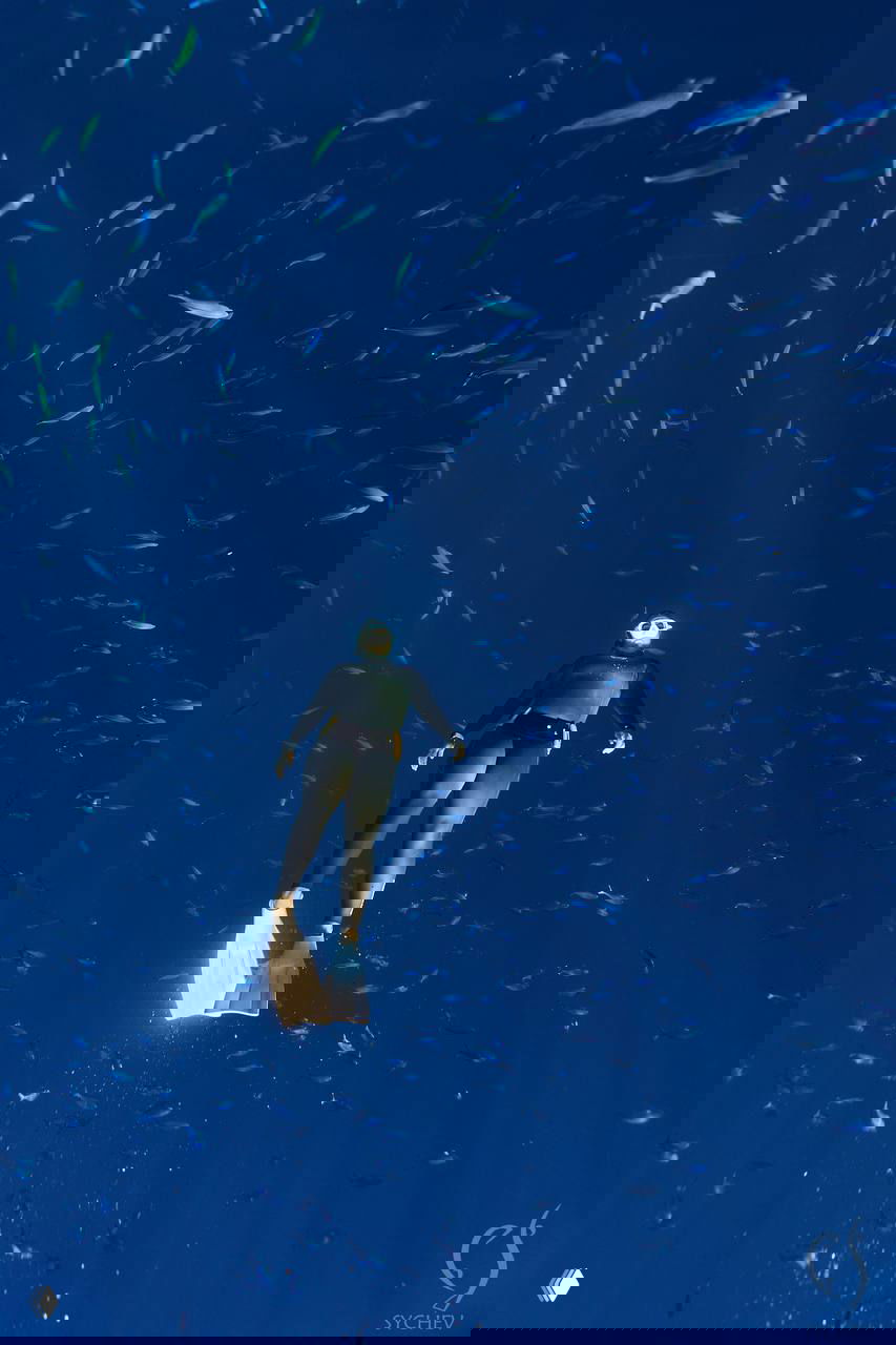 Фридайвинг‑лагерь в Шарме 1–9 мая