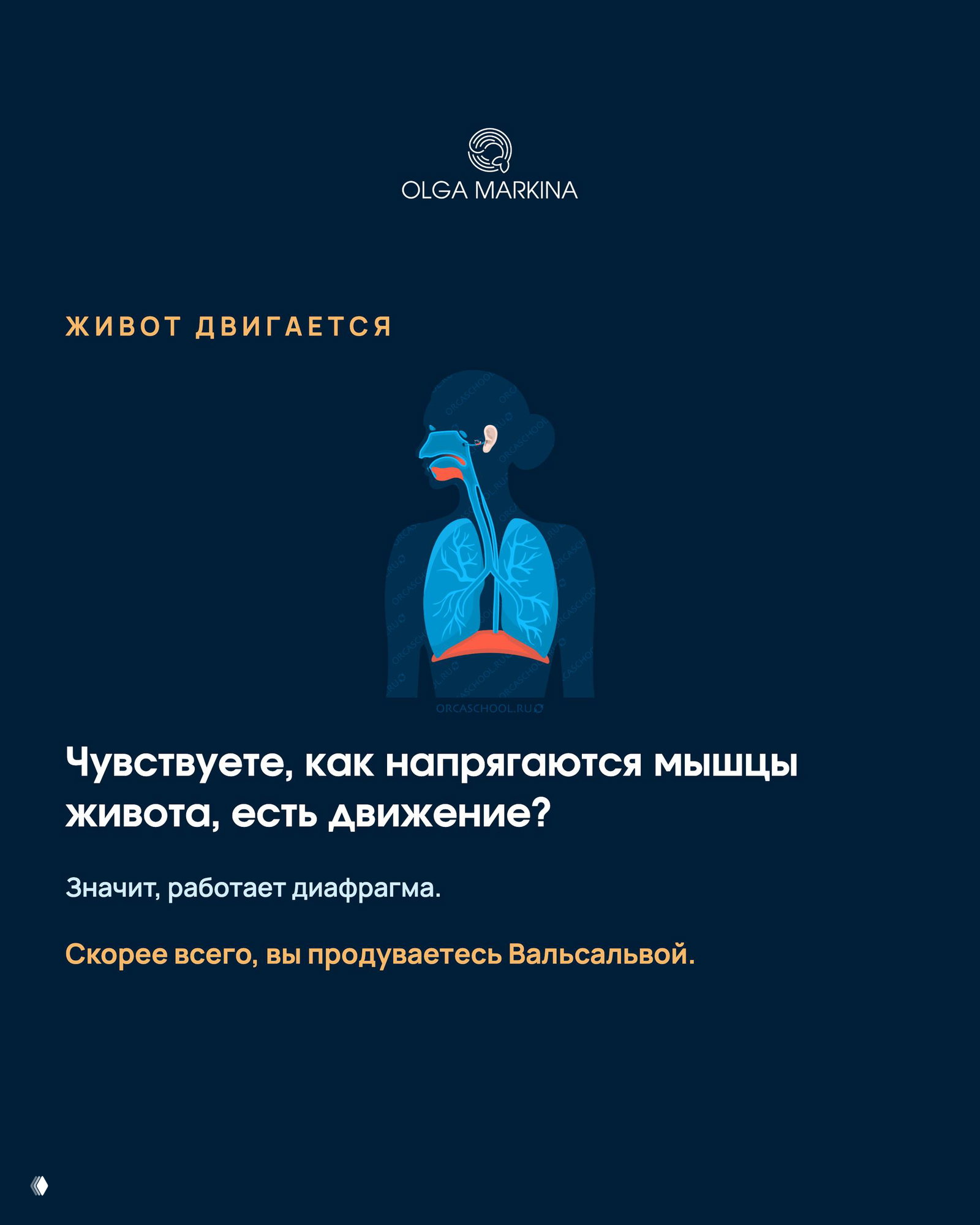 Тёмно-синий слайд с иллюстрацией дыхательной системы и подписью «Живот двигается» — признак работы диафрагмы и вероятной Вальсальвы.