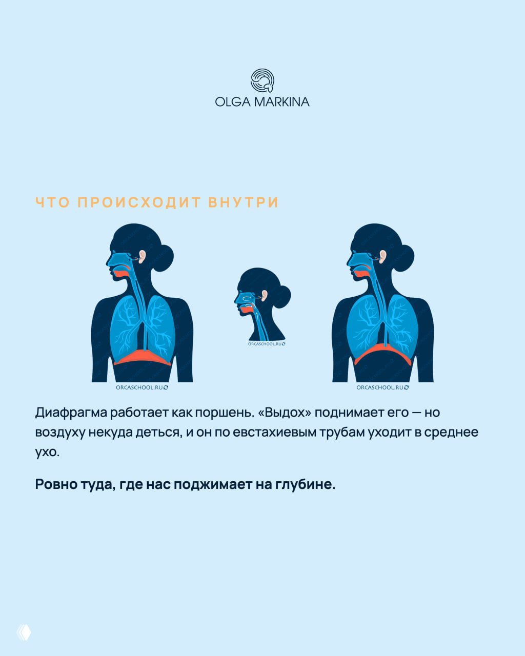 Схема внутренности: диаграммы дыхательных путей и евстахиевых труб, показано как «выдох» поднимает диафрагму и куда уходит воздух при продувании.