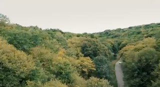 Аэровид: зелёные леса и извилистая дорога — пейзажный план, использованный в документальном фильме для фона и настроения.