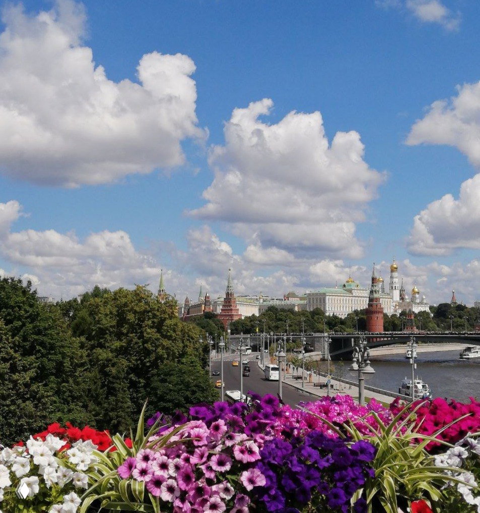 Кейс: две образовательные программы для московского проекта