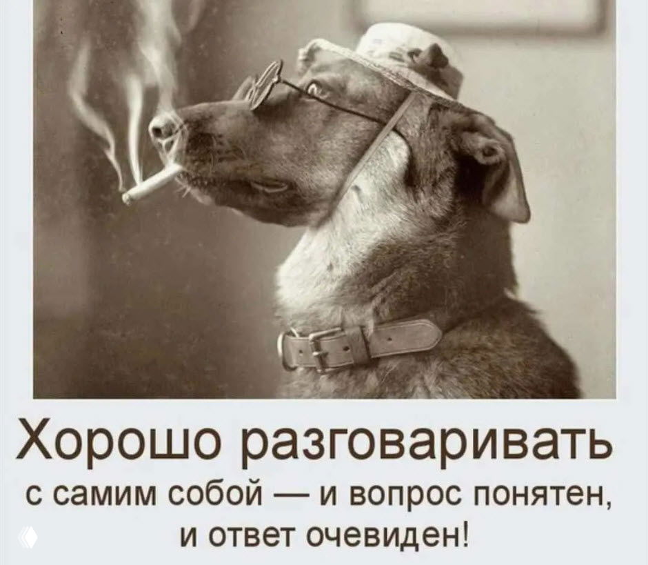 Как разговоры создают возможности