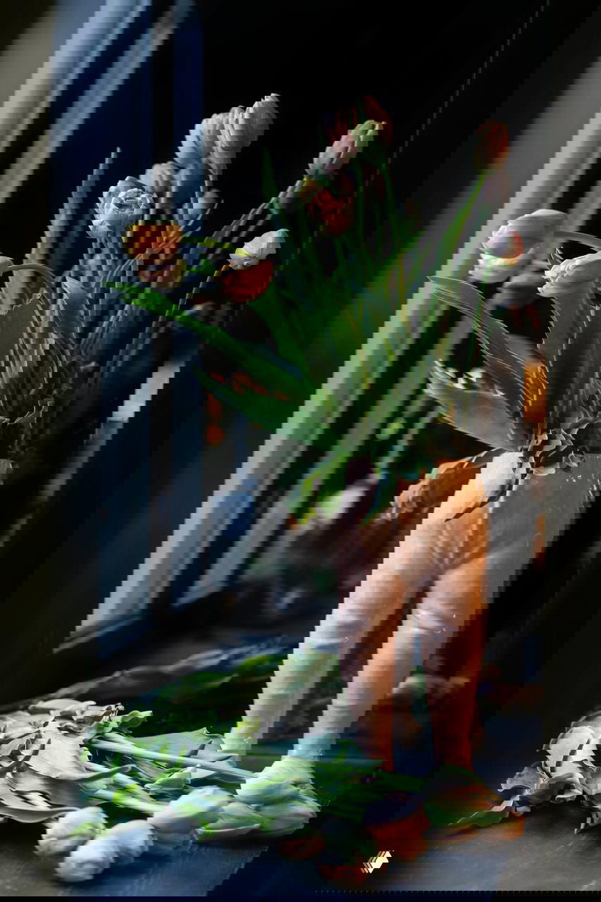 Идём в «Зеленогорск»