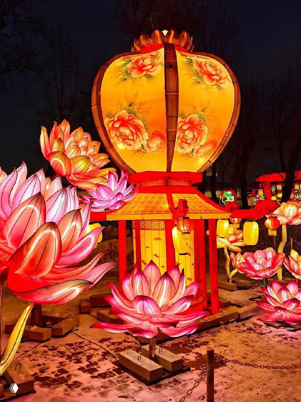 Ночная композиция с крупным жёлтым традиционным китайским фонарём и многочисленными подсвеченными лотосами на зимнем фестивале.