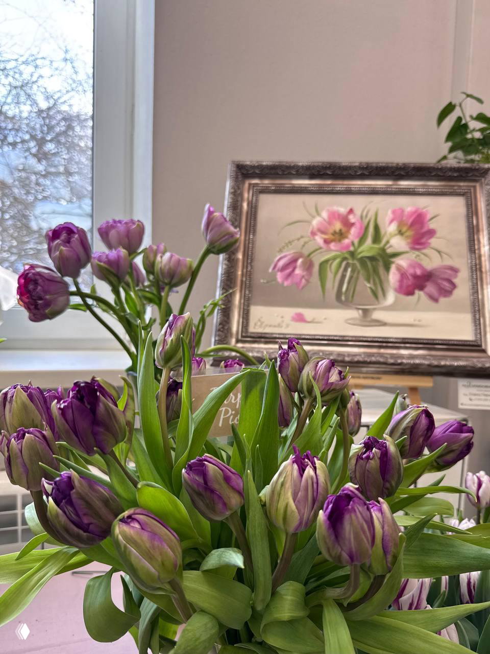 Фиолетово-белые тюльпаны в букете на выставочном столе, на заднем плане видна картина с изображением цветов — часть фестиваля в оранжерее.