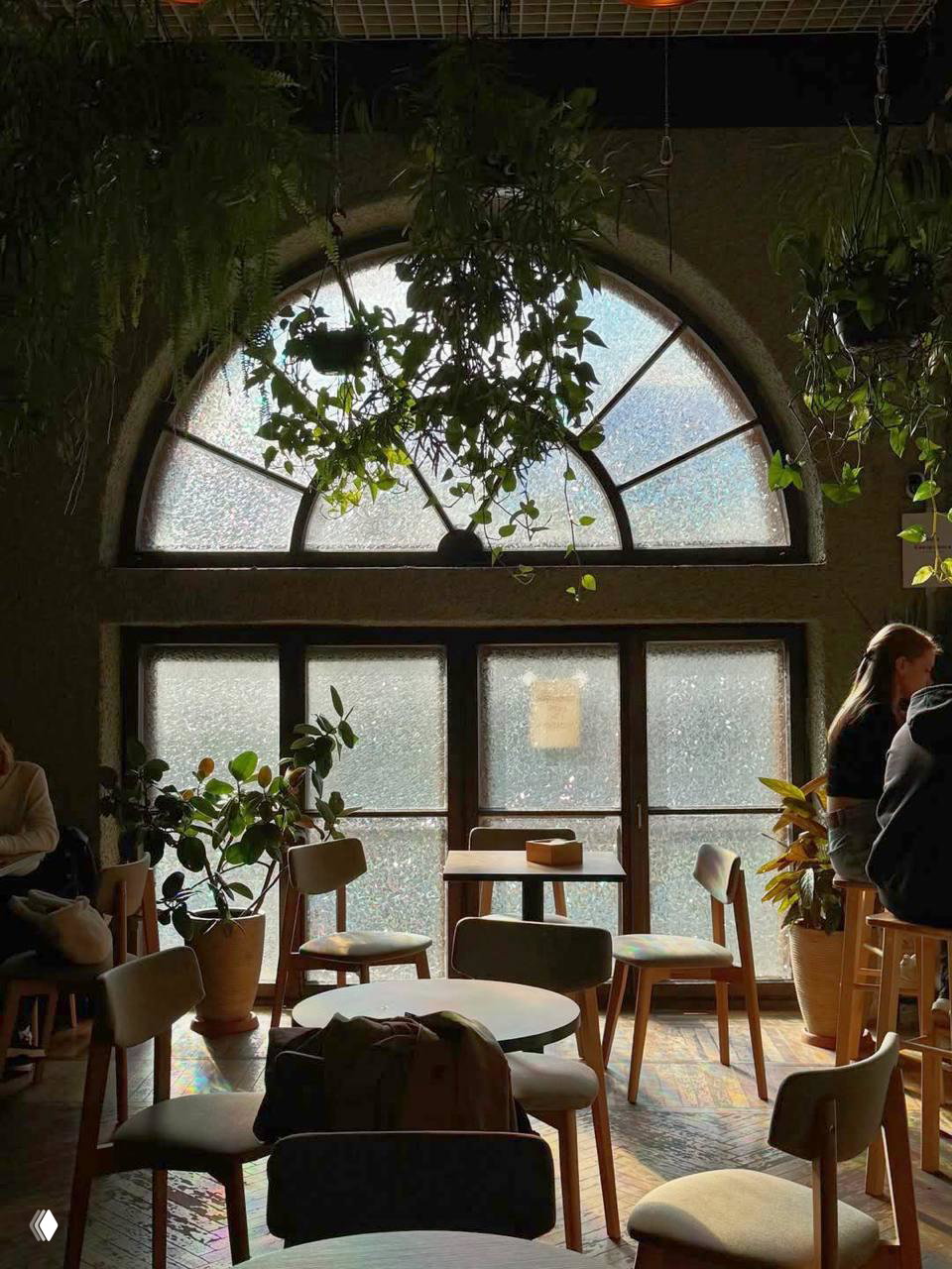 Идём пить кофе в оранжерее