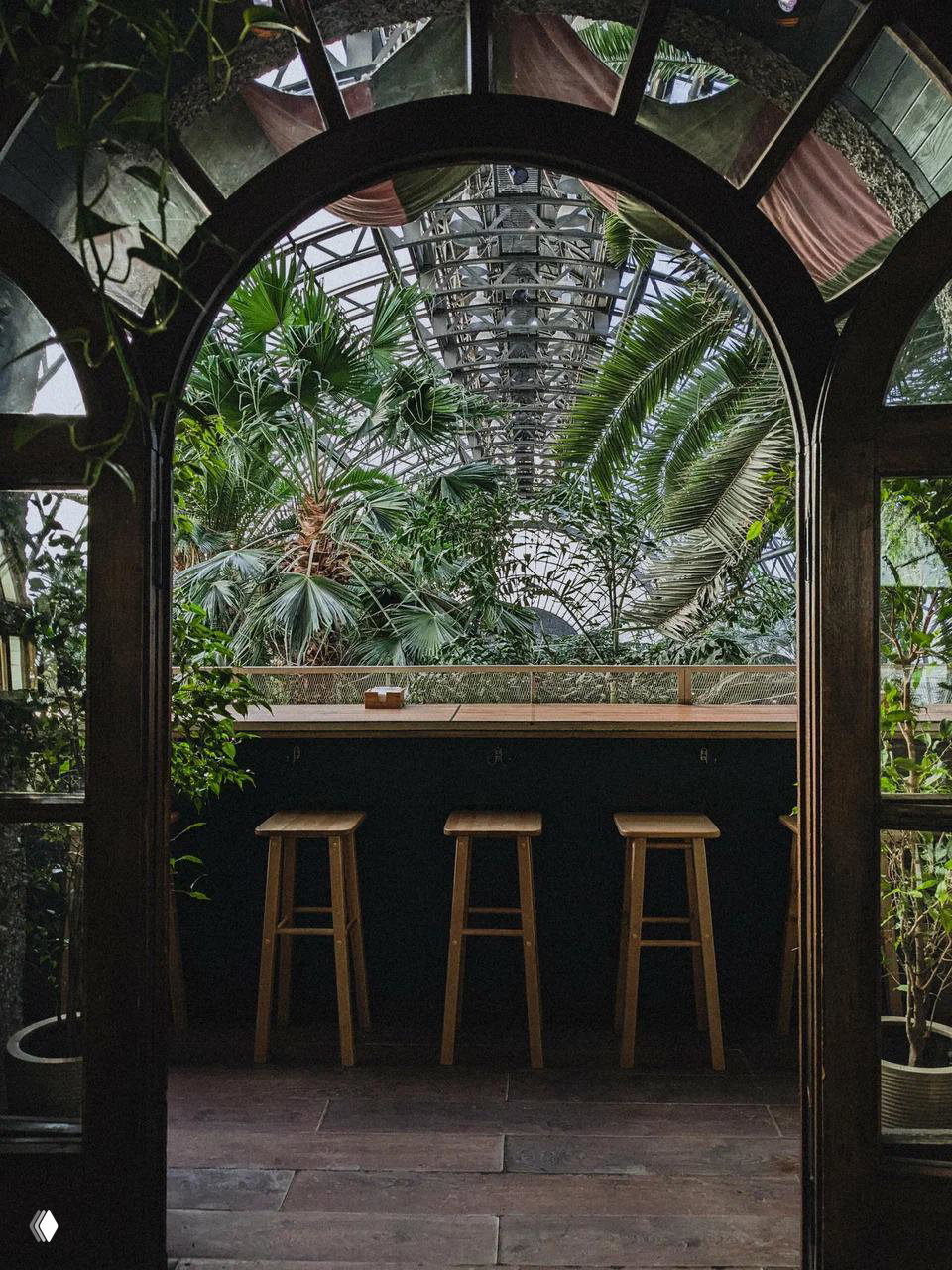 Арочный проход с видом на барную стойку и три высоких табурета на фоне пальм и зелени внутри оранжереи кофейни «Ива».