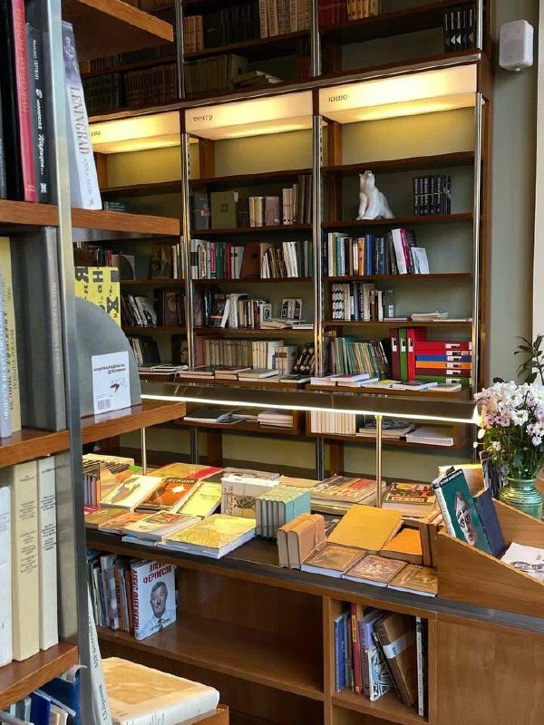 Полки и прилавок с подборкой книг в букинистическом магазине, освещённые тёплым светом, видны журналы и небольшие предметы декора.