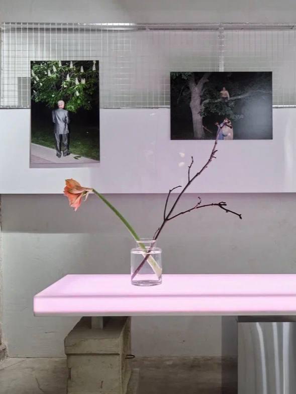 Стена с развешенными фотографиями и ветка в стеклянной вазе на розовом столе — деталь экспозиции Кирилла Савельева в Jessica.