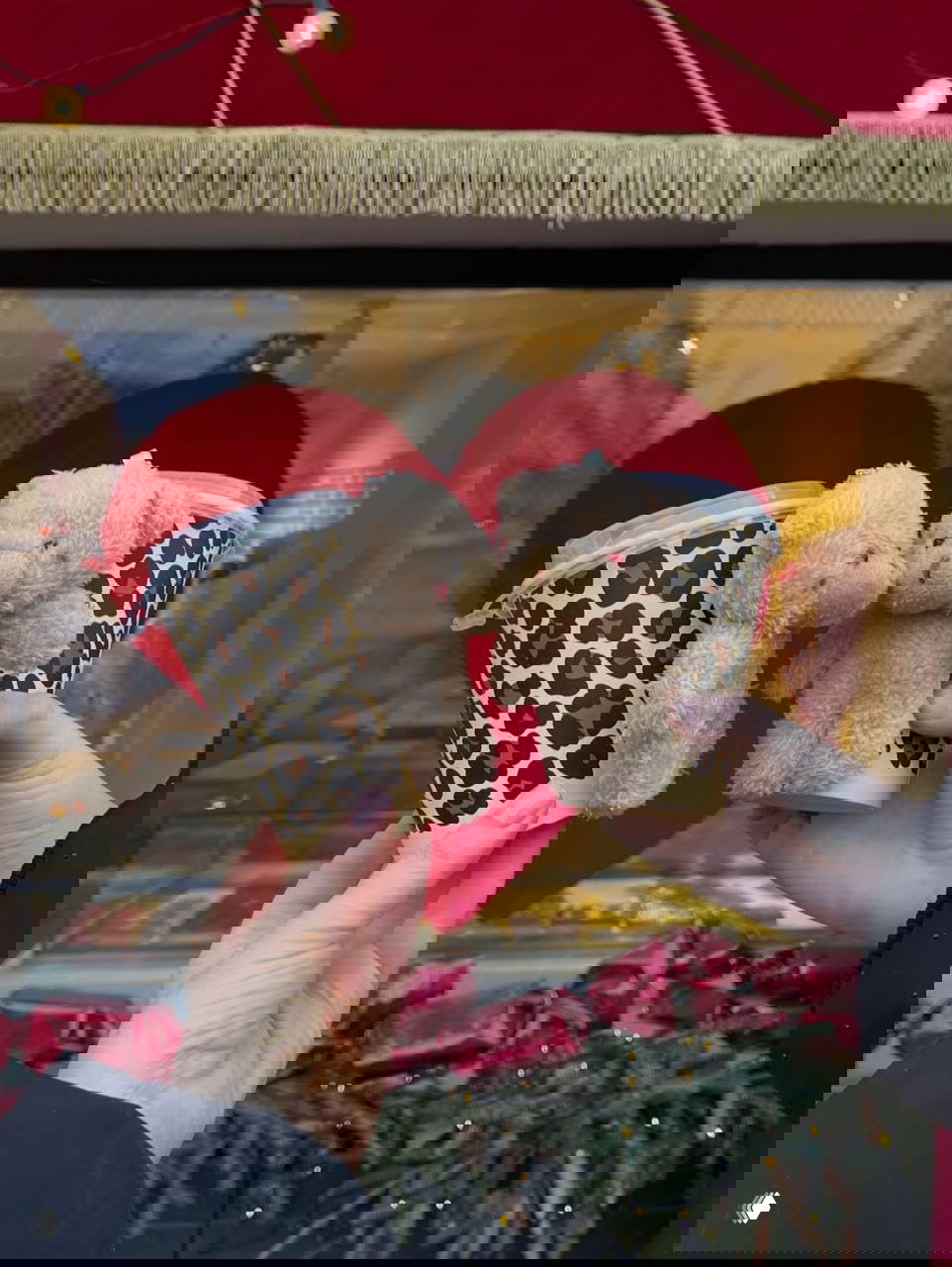 Идём за милыми стаканчиками