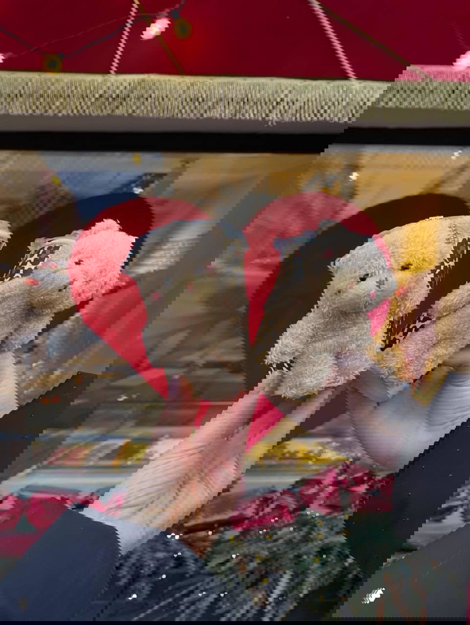 Пара леопардовых стаканчиков Lavanda Eclair, к каждому прикреплён мягкий плюшевый медвежонок, фотоснимок на фоне праздничной витрины с сердцем.