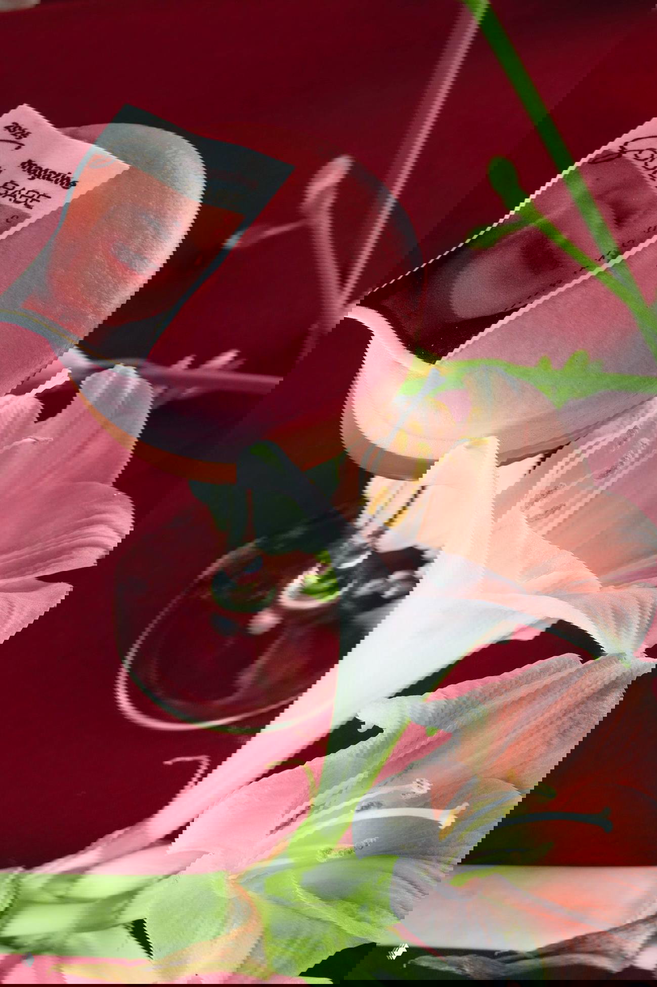 Идём на день всех влюбленных в Мечтатели