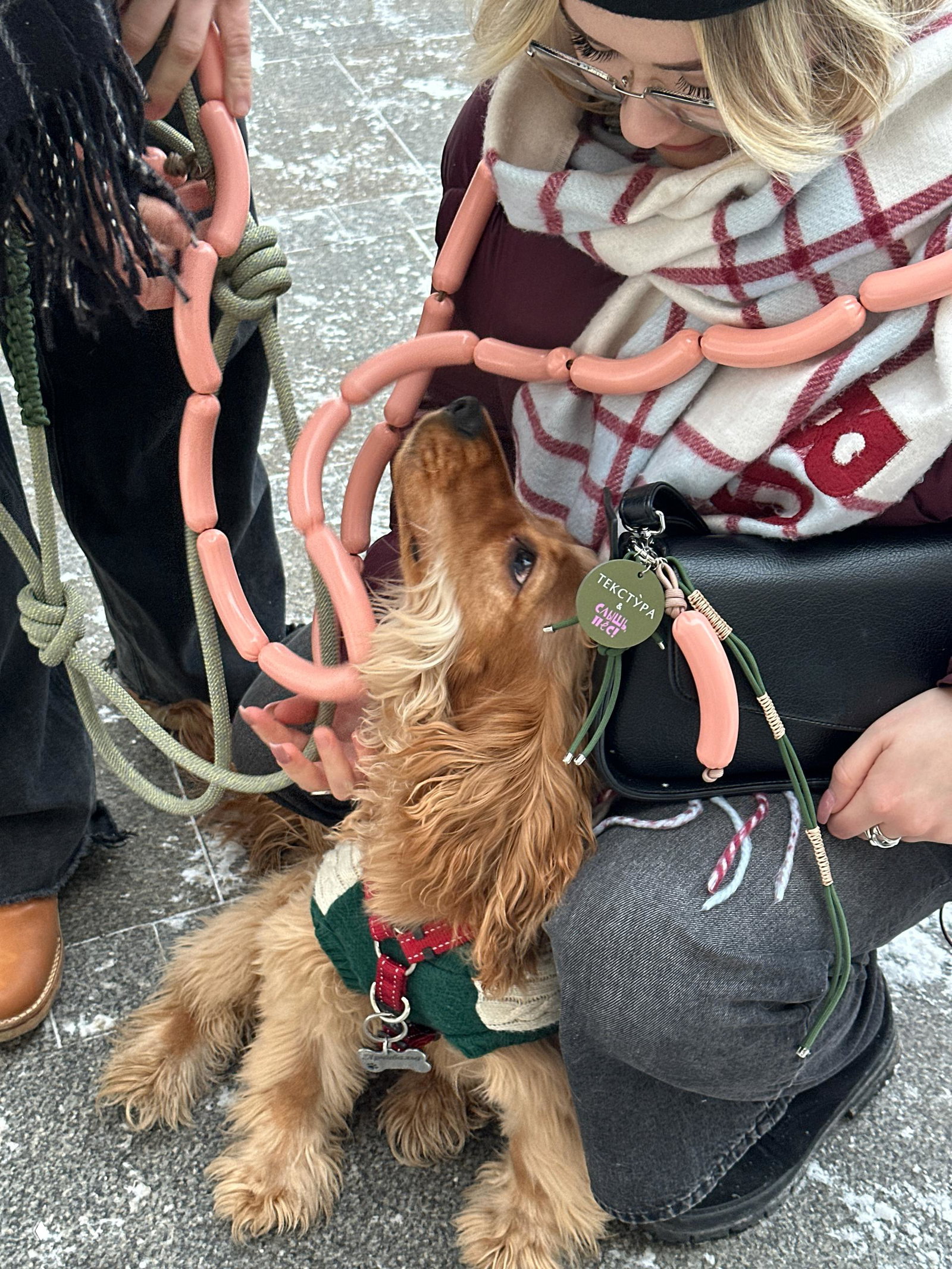 Кокер-спаниель нюхает декоративную цепочку из пластиковых «сосисок» и брелок «Текстура х СЛЫШЬ, ПЕС» во время акции у пекарни на улице.