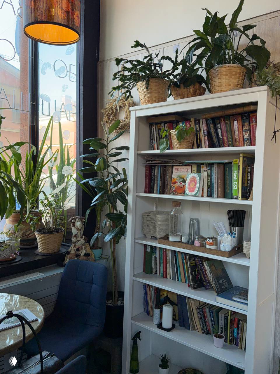 Уютный уголок кафе с книжным шкафом, растениями в плетёных горшках и креслом у большого окна; ощущение домашней, непринуждённой атмосферы.