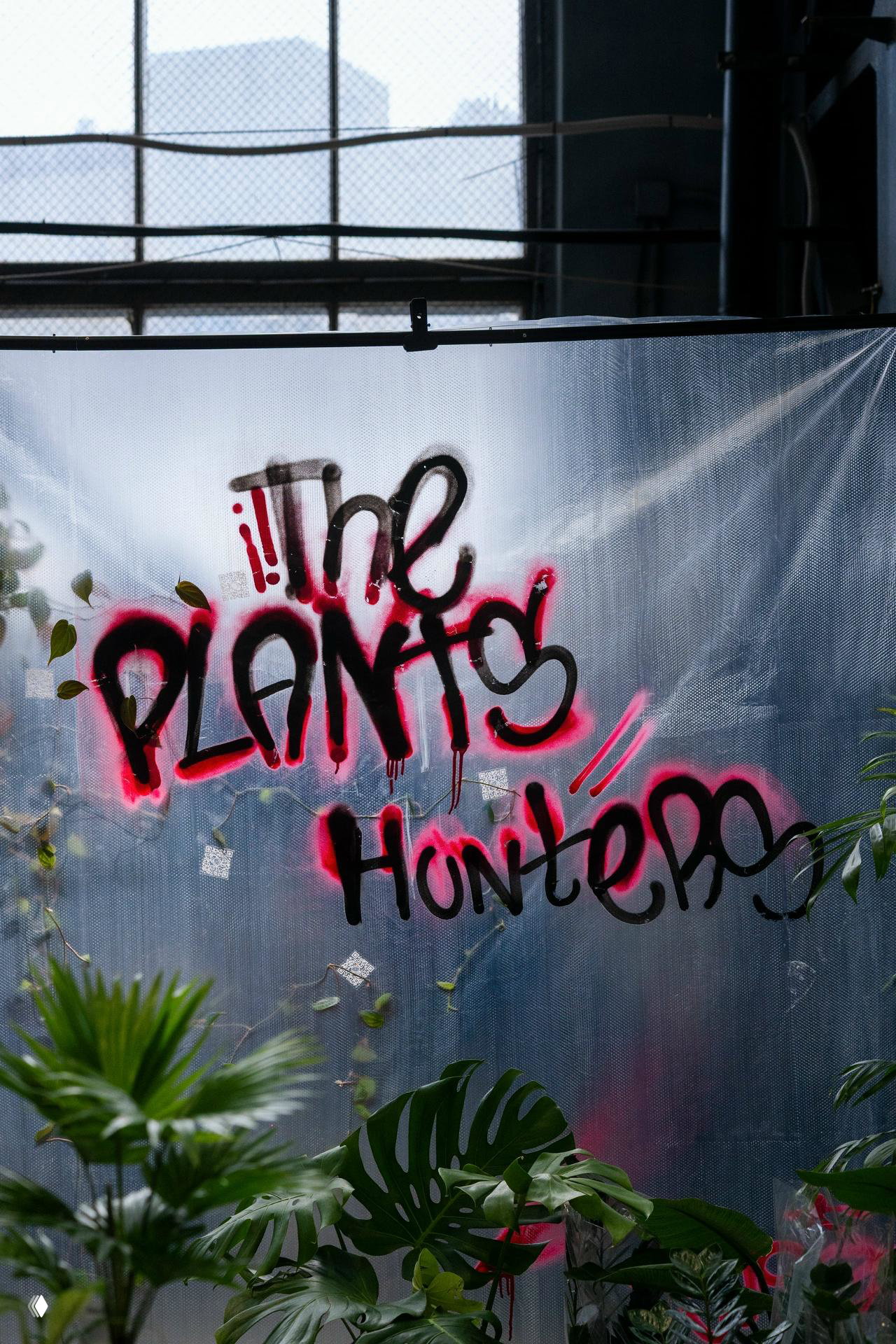 Граффити «The Plants» на прозрачной плёнке и тропические растения на переднем плане внутри индустриального павильона фестиваля.