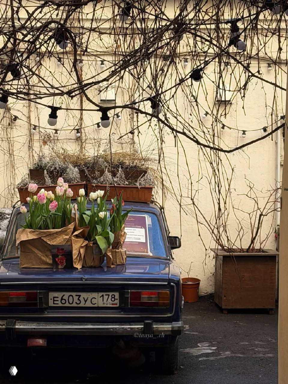 Идём на террасы