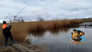 Рыбак забрасывает удочку у зарослей камыша в пасмурный день — кадр из видеопревью отчёта о рыбалке у хутора.