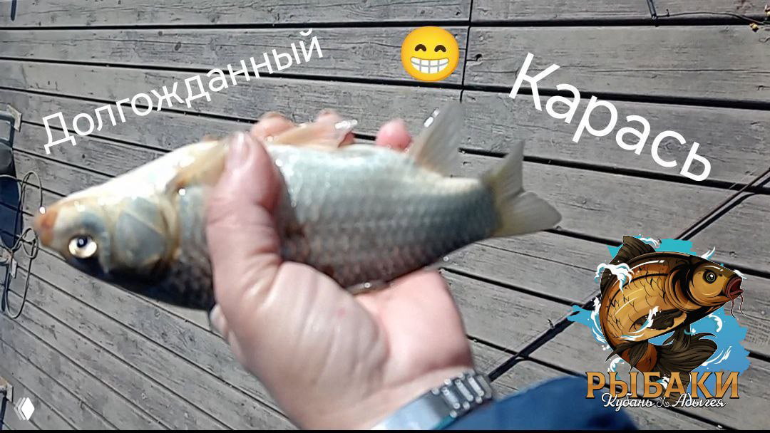 Карась в руке рыбака с текстовой надписью «Долгоожданный Карась», размытый фон причала и логотип канала внизу.