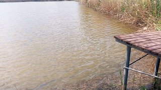 Панорамный вид на прибрежную зону и деревянный причал пруда «Пять прудов», спокойная поверхность воды и тростник на дальнем плане, место рыбалки.
