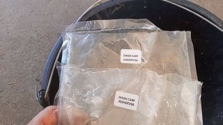 Пакеты с прикормкой марки DINSK CARP на ведре и рука в кадре — демонстрация использованного пеллетса и кукурузы, подтверждение применённого корма.