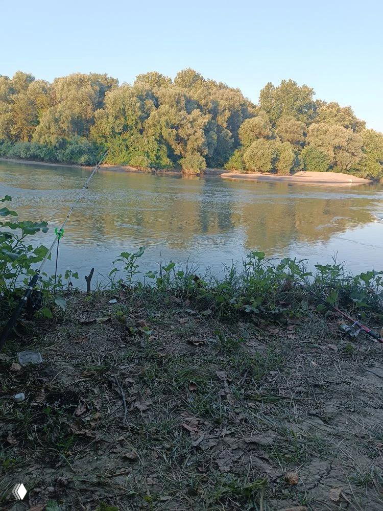 Отчёт 17.08 — река Протока, х. Протичка
