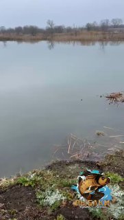 Панорамный вид на водоём со спокойной поверхностью; берег и тростник вдалеке, время — ранняя весна, без рыболовов на снимке.