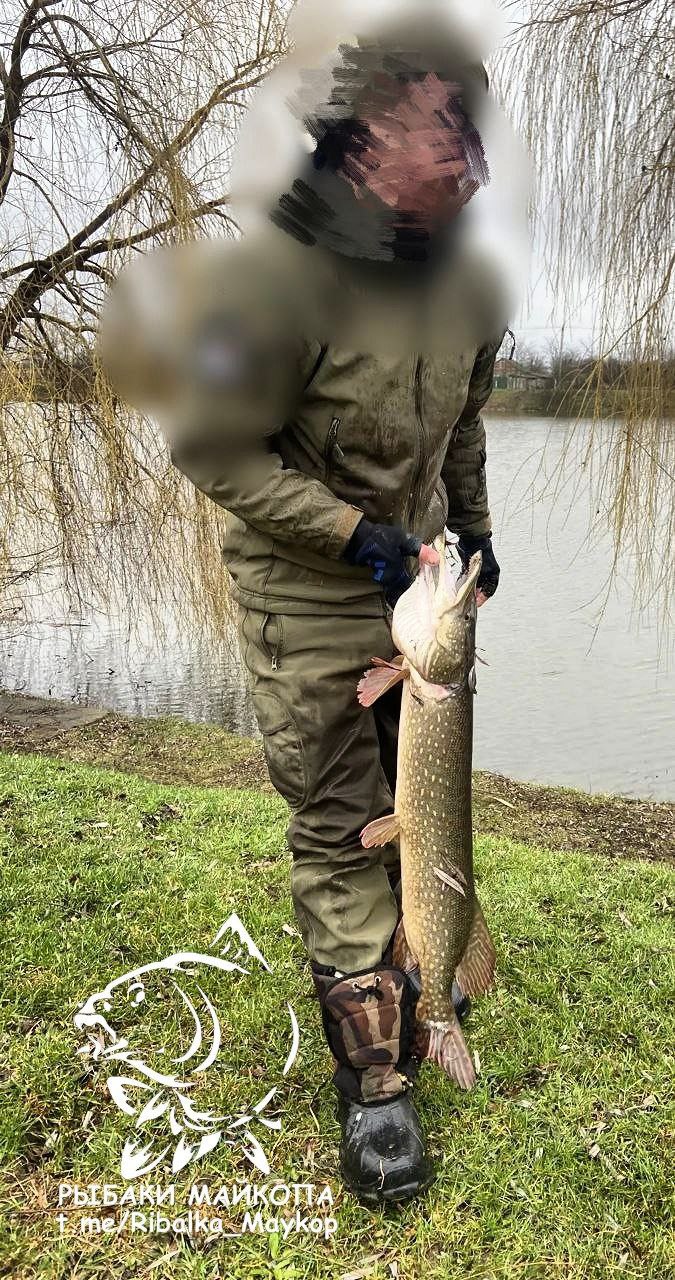 У АДАМА 26.02