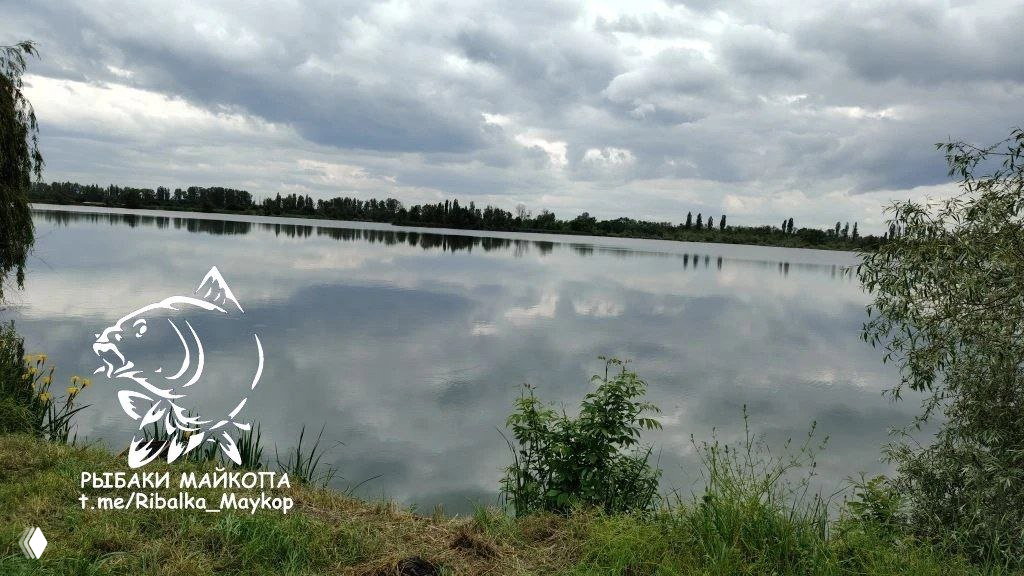 Панорама водоёма «Тополя» в пасмурную погоду: широкая зеркальная поверхность воды, береговая растительность и отражение облачного неба.