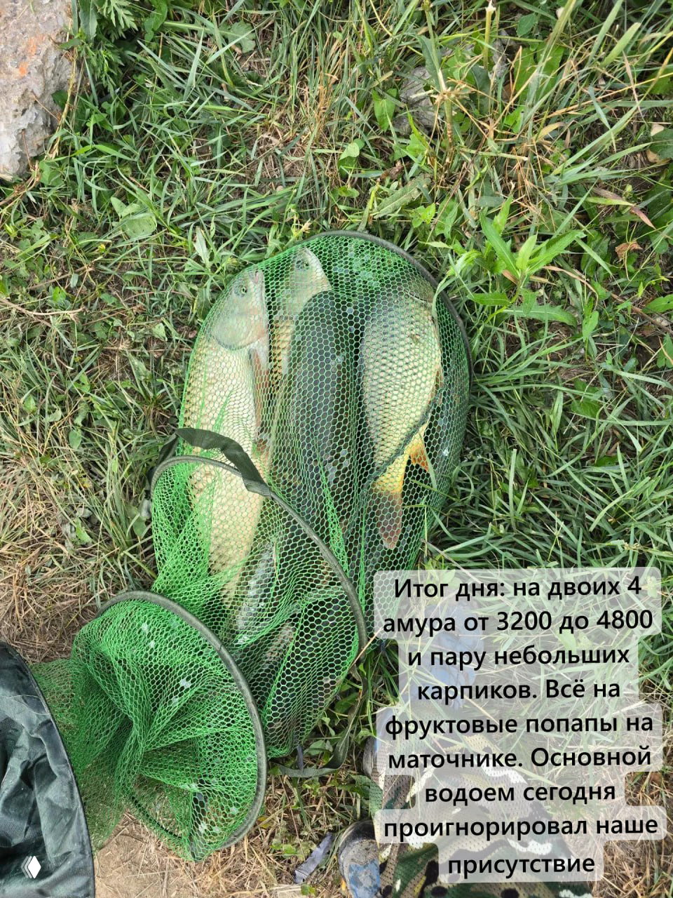 ЕЛИЗАВЕТИНСКИЕ ПРУДЫ — 25.07