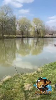 Пруд с кувшинками и отражением деревьев, травяной берег с удочками на переднем плане — весенняя рыбалка в Краснодарском крае, общий план.