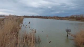 Панорамный вид озера в Адыгее с камышом на переднем плане, береговой площадкой и пасмурным небом во время зарыбления рыбы.