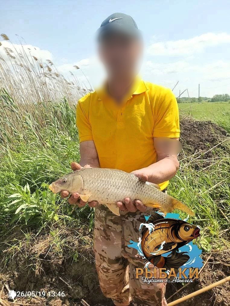 Рыболов держит среднего карпа обеими руками на фоне берега и травы, лицо частично размылено, виден логотип канала.