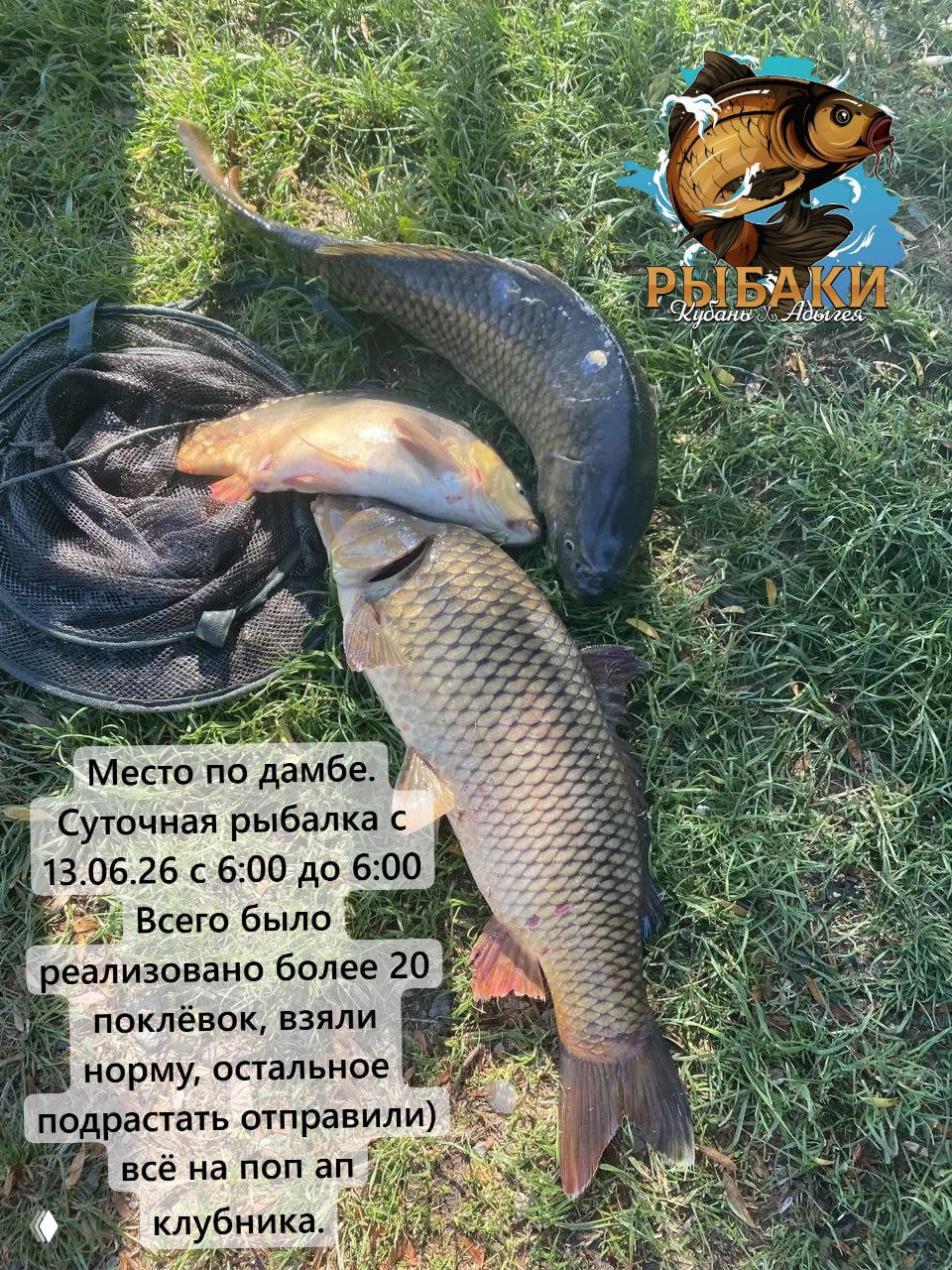 ДОБРЫЙ БОЦМАН
