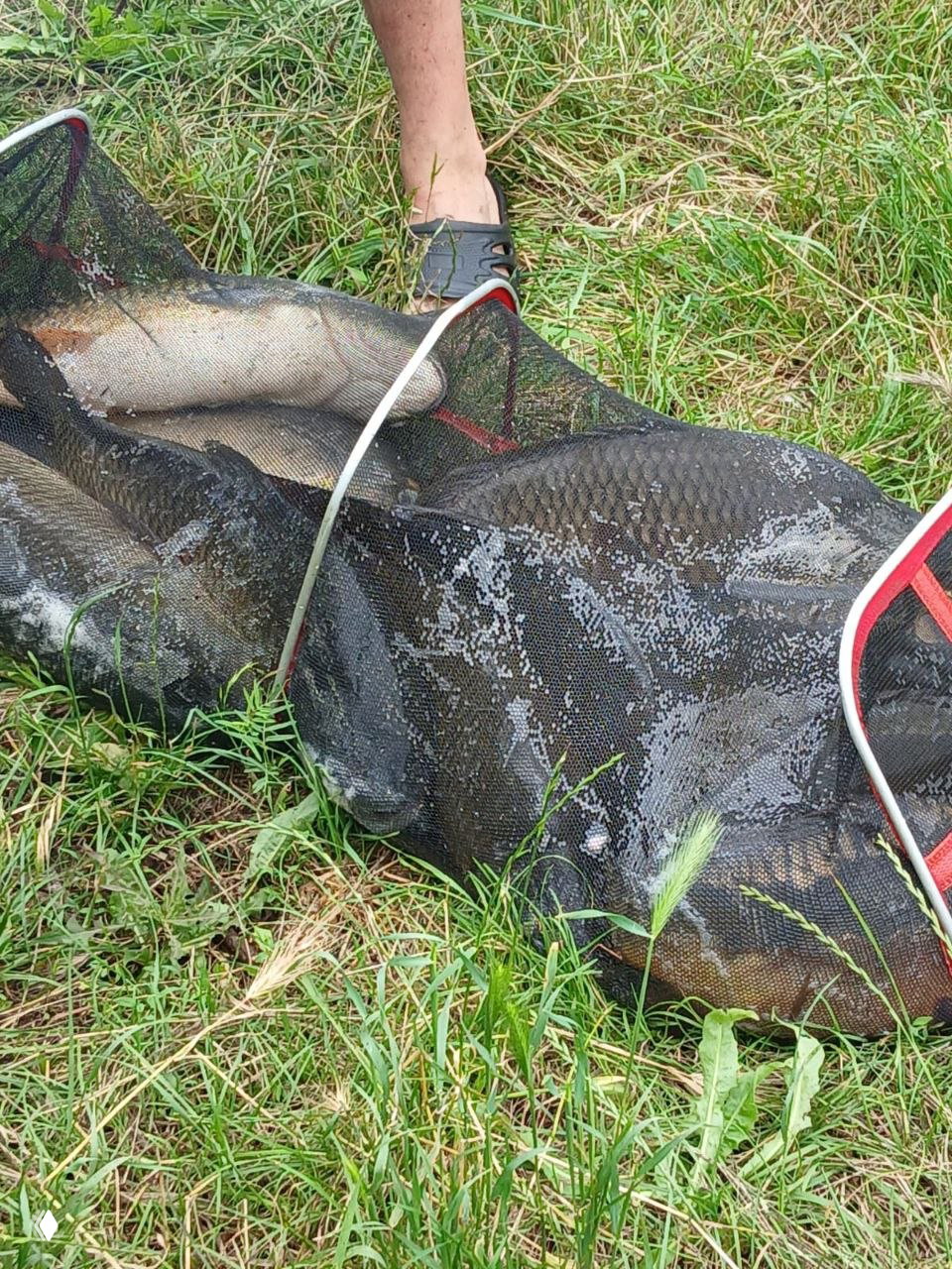 КОМСОМОЛЬСКИЙ 20.06