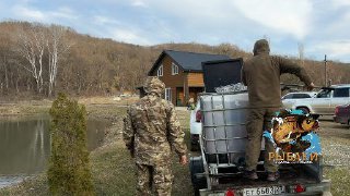 Люди разгружают пластиковую ёмкость с рыбой с пикапа у домика на берегу пруда; видна техника и прибрежная растительность.