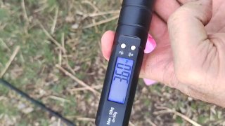 Рука держит цифровые весы с показанием 3.00 кг; кадр крупным планом на фоне грунта и рыболовного снаряжения.